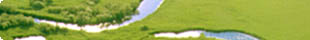 image photo